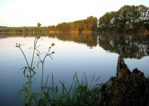 Шевченковское озеро в Золочеве Львовской области