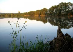 Шевченковское озеро в Золочеве Львовской области