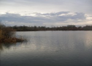 Водоем Разлив №1 во Львовской области