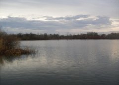 Водоем Разлив №1 во Львовской области