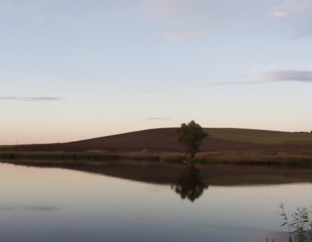 Рыбалка у села Опришени в Черновицкой области