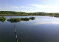 Дикое озеро в Гаях Львовской области