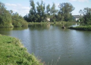 Озеро в Давыдове Львовской области