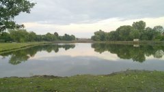 Озеро в Скнилове Львовской области