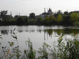 Пруд в Щирце Львовской области