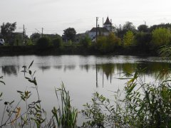 Пруд в Щирце Львовской области