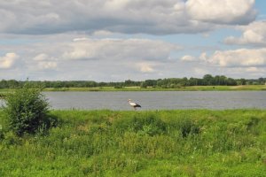 Пруд в Ставчанах Львовской области