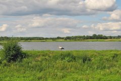 Пруд в Ставчанах Львовской области