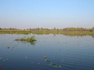 Рыбалка на 5-й шлюзе у с. Процев Киевской области-1