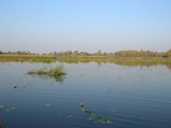 Рыбалка на 5-й шлюзе у с. Процев Киевской области-1