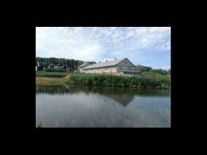 Рыбалка на Мелиховском ставке в с. Мелиховка Харьковской области-1