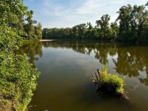 Рыбалка на озере Лесное в г. Киев Киевской области-1