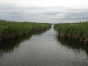 Рыбалка на озере в с. Сушно Львовской области-1