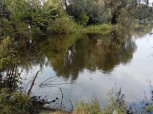 Рыбалка на озере в с. Веремиевка Хмельницкой области-1