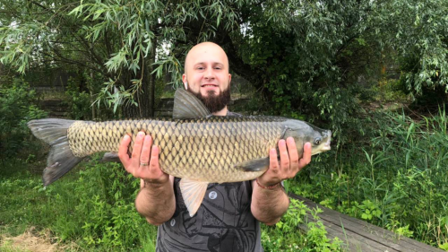 Рыбалка на Озеро Королек в Киеве Киевской области