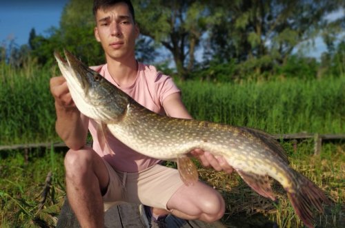 Рыбалка на Озеро Королек в Киеве Киевской области