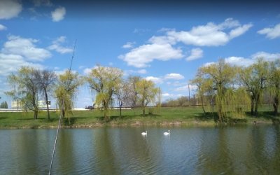 Рыбалка на Победовском водохранилище в г. Александрия