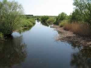 Рыбалка на реке В. Бурлукв с. Мостовое Харьковской области-1