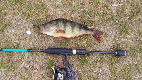 Риболовля на річці у с. Грушка Івано-Франківської області