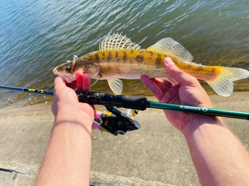 Риболовля на річці у с. Грушка Івано-Франківської області