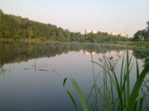 Рыбалка на Совских прудах в Киеве Киевской области-1