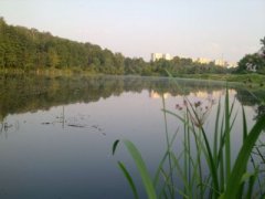 Рыбалка на Совских прудах в Киеве Киевской области-1