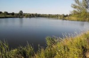 Рыбалка на ставке «Новенький» в с. Малополовецкое Киевской области-4