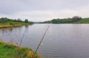 Рыбалка на ставке «Новенький» в с. Малополовецкое Киевской области-1