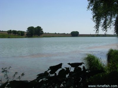 Рыбалка на ставке «Бабин Аквариум»