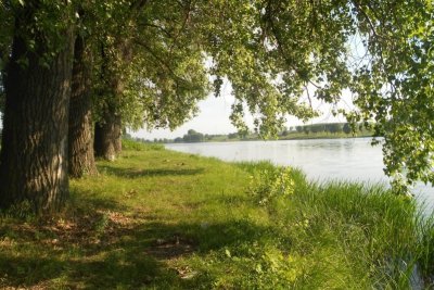 Рыбалка на ставке «Бабин Аквариум»