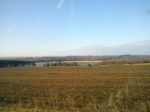 Рыбалка на ставке в с. Богодарово Харьковской области-1