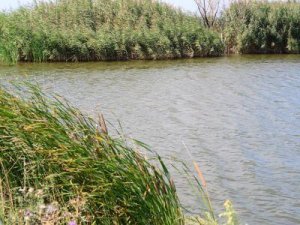 Рыбалка на ставке в с. Добролюбовка Харьковской области-1