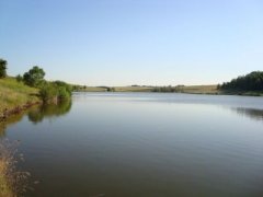 Рыбалка на ставке в с. Довжик Харьковской области-1