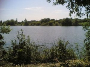 Рыбалка на ставке в с. Кировка Кировоградской области-1