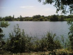 Рыбалка на ставке в с. Кировка Кировоградской области-1