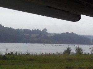 Рыбалка на ставке в с. Майдан Хмельницкой области-1