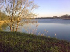 Рыбалка на ставке в с. Паращино Поле Кировоградской области-1