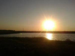 Рыбалка на ставке в с. Патюты Харьковской области-1