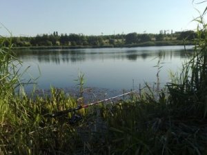 Рыбалка на ставке в с. Полтавка Кировоградской области-1