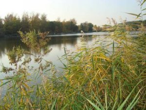 Рыбалка на ставке в с. Сосновка Харьковской области-1