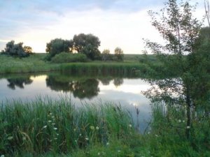 Рыбалка на ставке в с. Вишняковка Луганской области-1