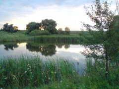 Рыбалка на ставке в с. Вишняковка Луганской области-1