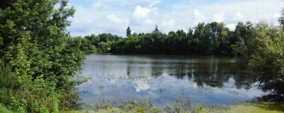 Рыбалка на ставке в с. Вязовец 