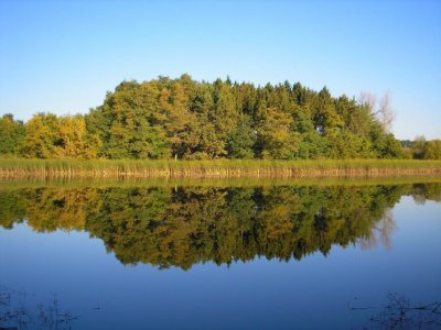Рыбалка на ставке в с. Вязовец 