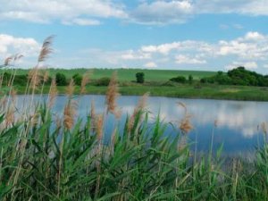 Рыбалка на водохранилище в с. Африкановка Харьковской области-1