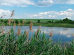 Рыбалка на водохранилище в с. Африкановка Харьковской области-1