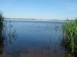 Рыбалка у села Гамалеевка в Львовской области-3