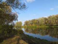 Рыбалка у села Хотяновка в Киевской области-1