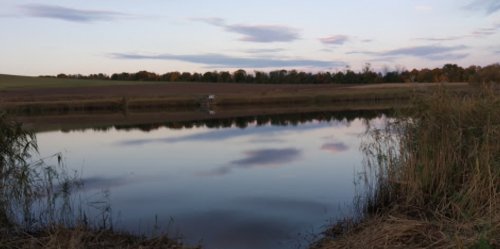 Рыбалка у села Опришени в Черновицкой области