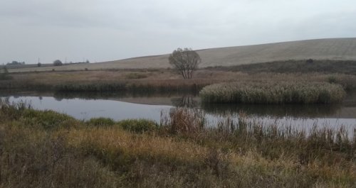 Рыбалка у села Опришени в Черновицкой области